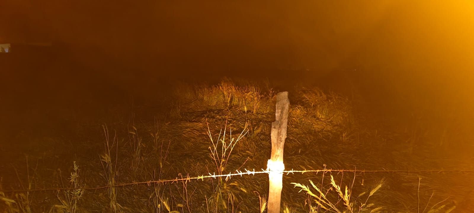 बे मौसम बारिश से फसल बर्बाद।